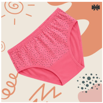 4 Pieces 4 Color Loxicave Premium Panty Stylish panty Short Panty Hot Panty Cotton Panty Net Panty
