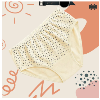 4 Pieces 4 Color Loxicave Premium Panty Stylish panty Short Panty Hot Panty Cotton Panty Net Panty