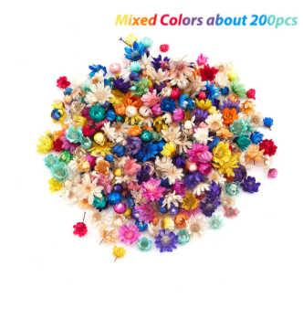 【Hot demand】200pcs Dried Flowers For DIY Epoxy Resin Candle Making Jewellery Glass Filler