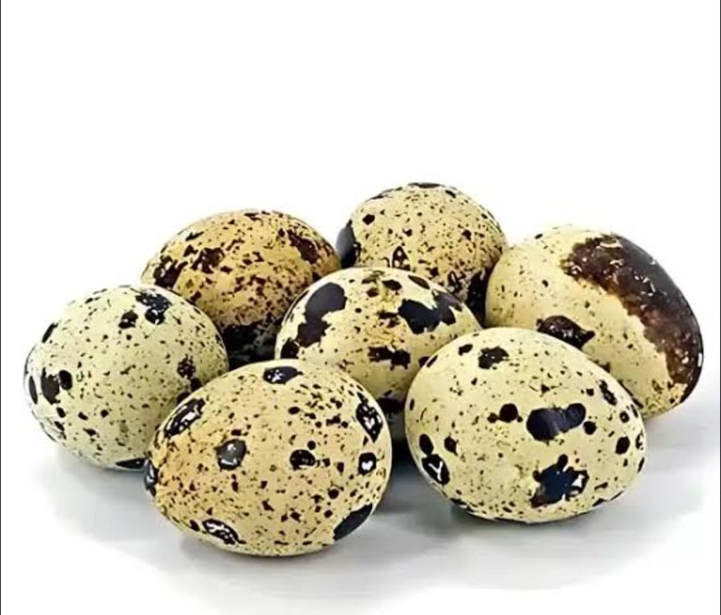 কোয়েল পাখির ডিম | প্রতি পিছ