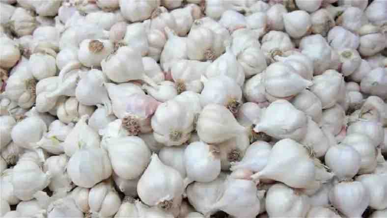 রসুন|rosun | প্রতি কেজি