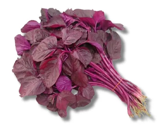 Lal Shak (Red Amaranth Spinach)per piece