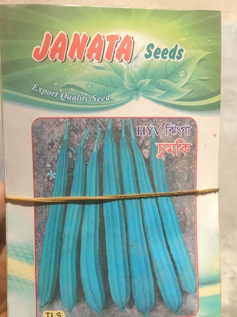 Janata Seed| HYV Chumki (Hybrid High Yielding Variety)