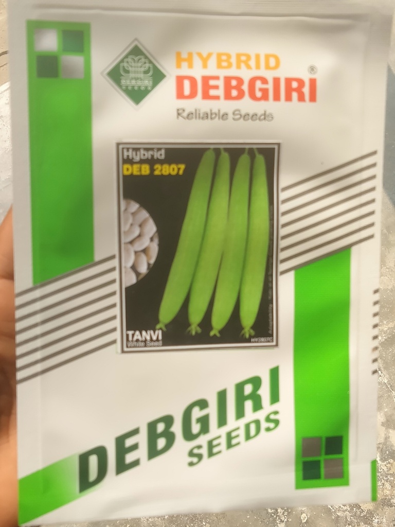 Hybrid Debgiri (Hybrid DEB 2807 'Tanvi' white seed)