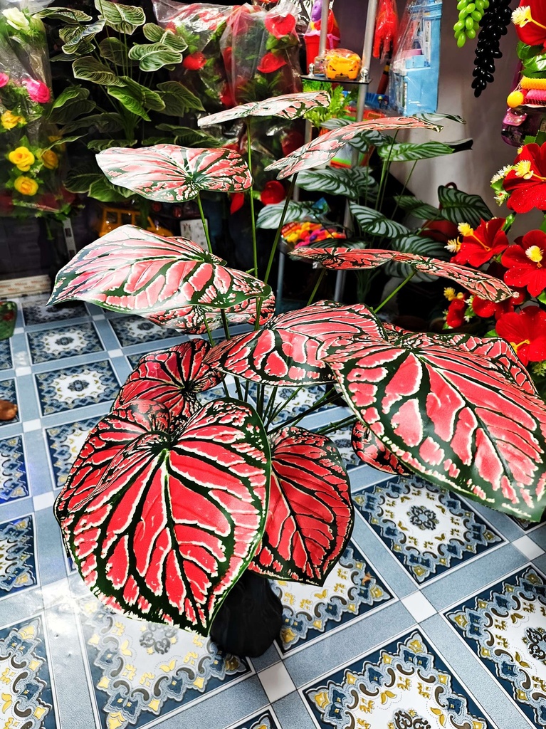 Artificial Plant - Home Decoration Item - Home Decoration Item