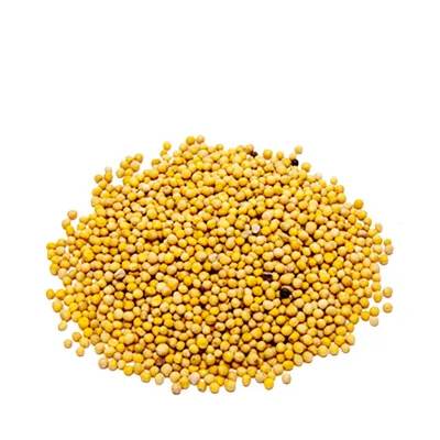 Mustard Seed (Yellow) 100 gm
