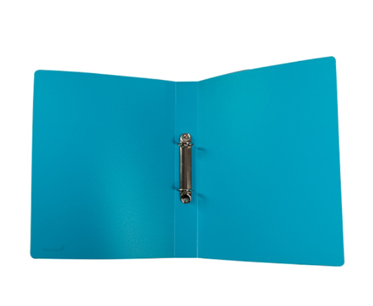 Good Luck Punch File, 2 Ring