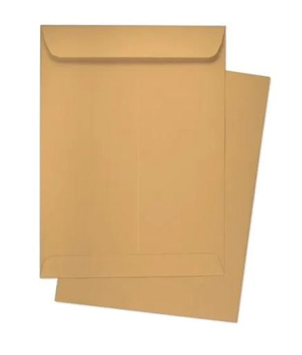 Envelope, Brown, 8.5 x 10 Inches, 110 GSM (Pack of 50)
