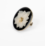 Pearl Brass Ring