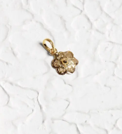 Frosting Gold Locket