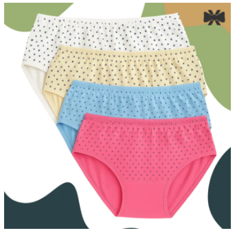 4 Pieces 4 Color Loxicave Premium Panty Stylish panty Short Panty Hot Panty Cotton Panty Net Panty